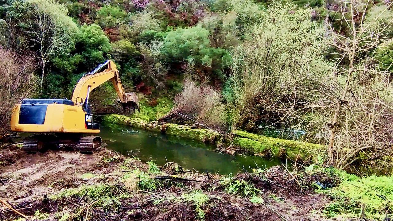 Rio Alfusqueiro Projeto Life Agueda