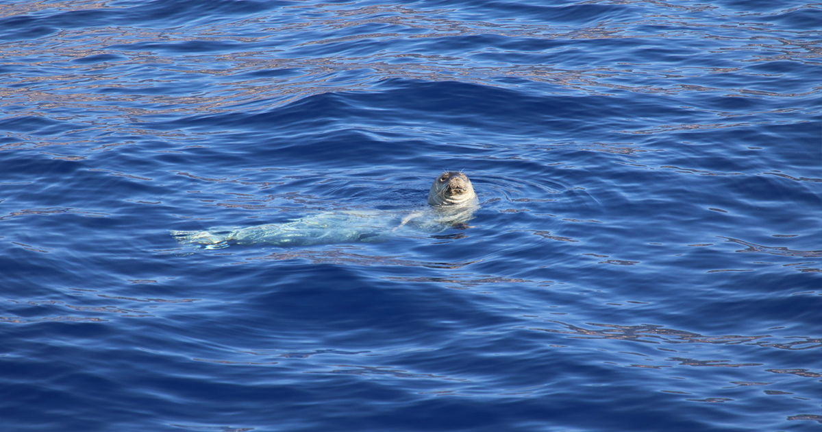 Ecosystem Services and Blue Economy