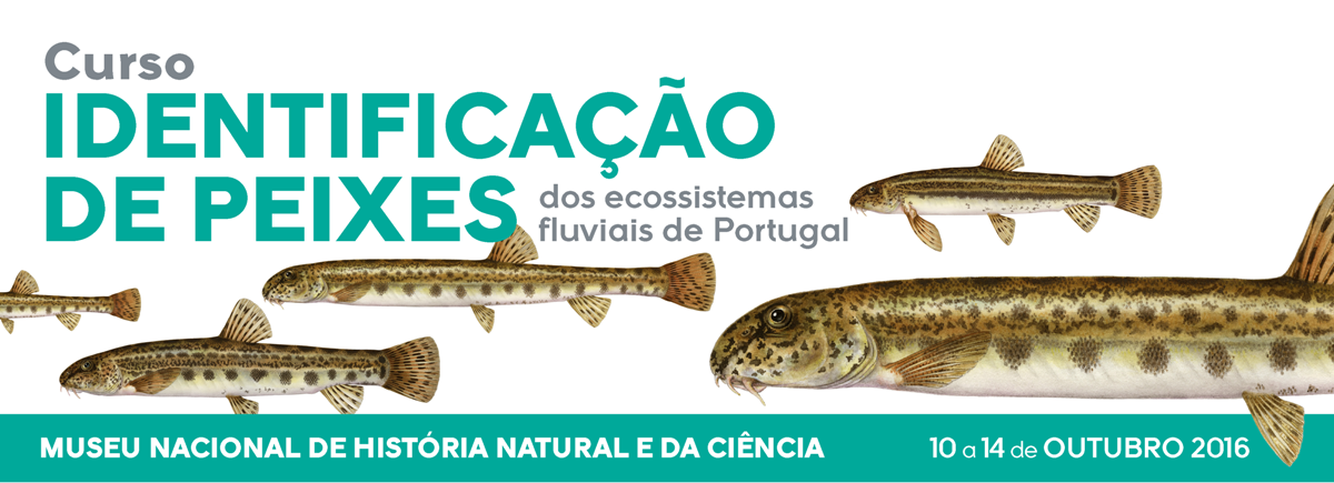 Curso de Identificação de Peixes dos Ecossistemas Fluviais de Portugal