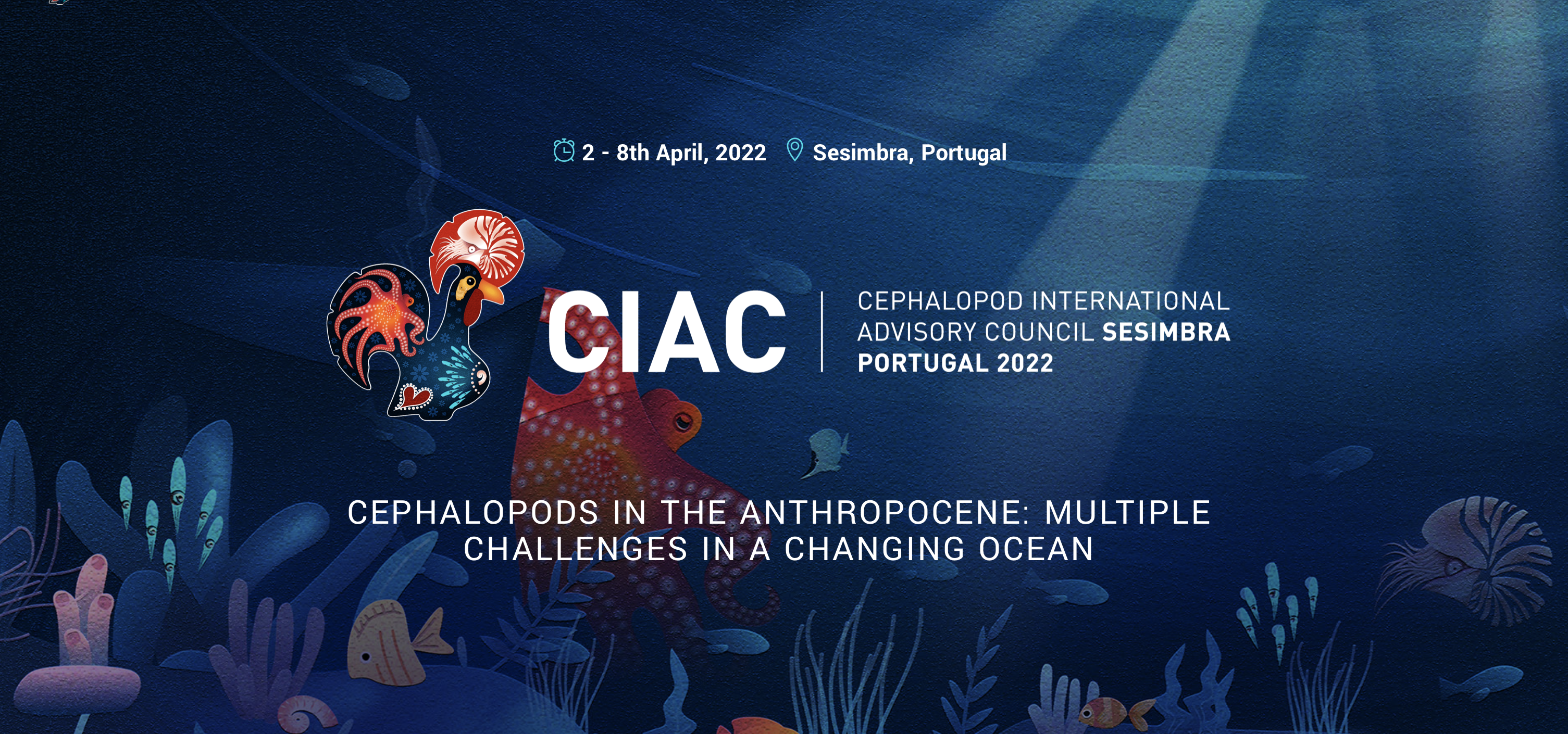 Conferência Cephalopods