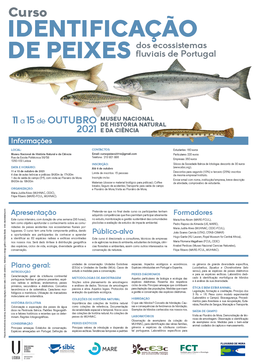 Curso de Identificação de Peixes