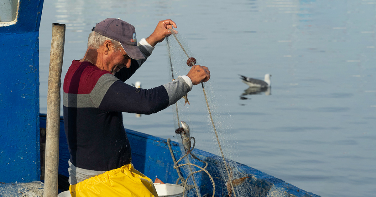 Biologia Pesqueira e Pesca Sustentável