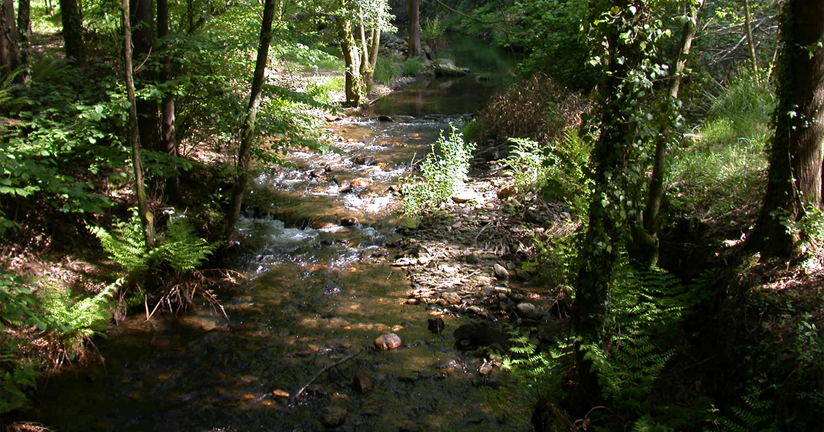 Ecologia de Água Doce