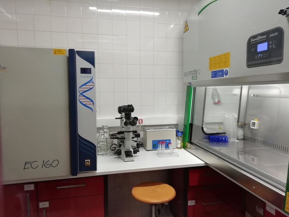 Laboratório de cultura celular – MARE-NOVA