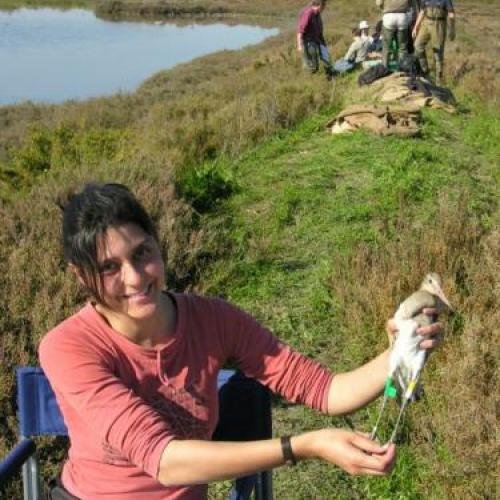 Retrato de Sara Pardal