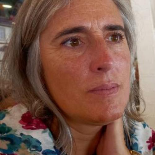 Ana Sofia Libreiro's picture